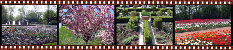 Garten der Welten in Marzahn 2011 Garten der Welten in Marzahn