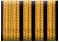 Senior Capitan